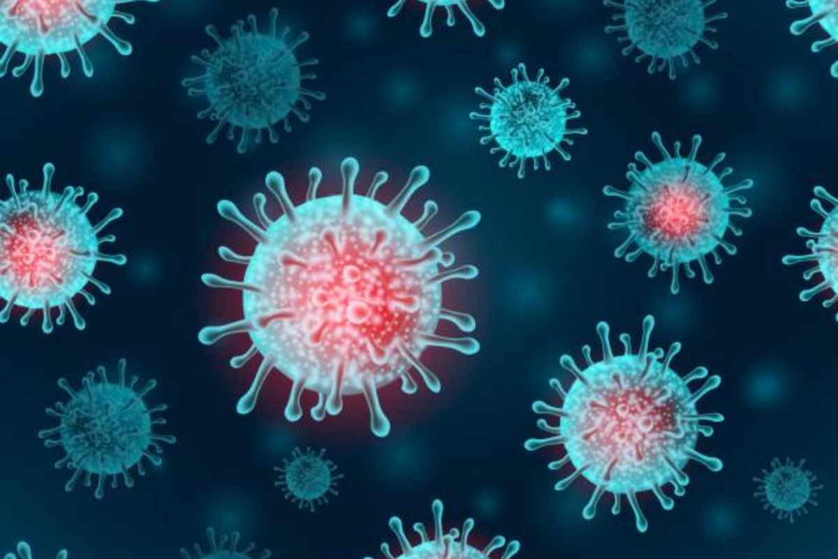 Si diffonde la febbre dengue in Italia