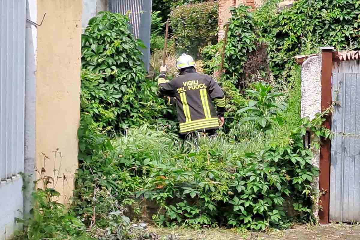 Delitto Garlasco, indagini